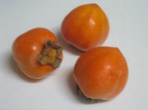 松見光玉 マグカップ_c0204333_15262589.jpg