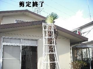冬季の剪定作業と除草作業_f0031037_1913371.jpg
