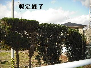 冬季の剪定作業と除草作業_f0031037_1923539.jpg