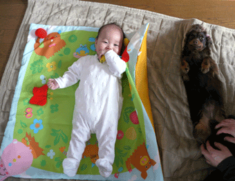 c0080038_1445252.gif