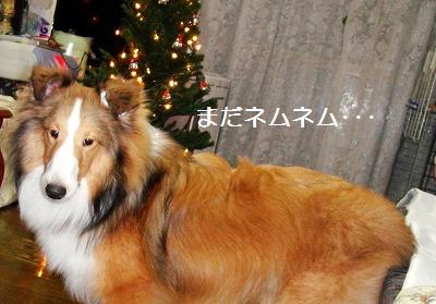 あそびたくない症候群?_e0195743_51495.jpg