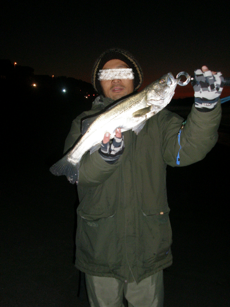 f0150151_1521325.gif