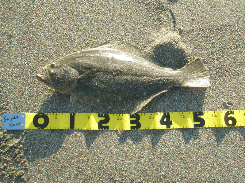 f0150151_1522571.gif