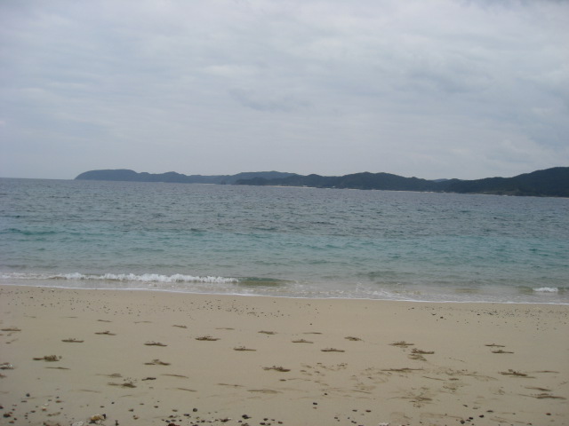 c0185858_17261511.jpg