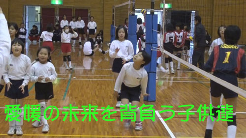 愛媛_c0000970_17423460.jpg