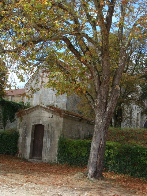 b0142976_13331094.jpg