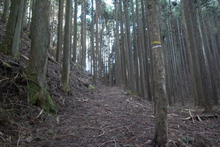 b0183680_2147935.jpg