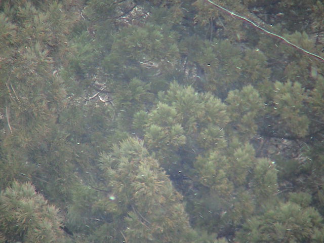 a0140584_11134059.jpg