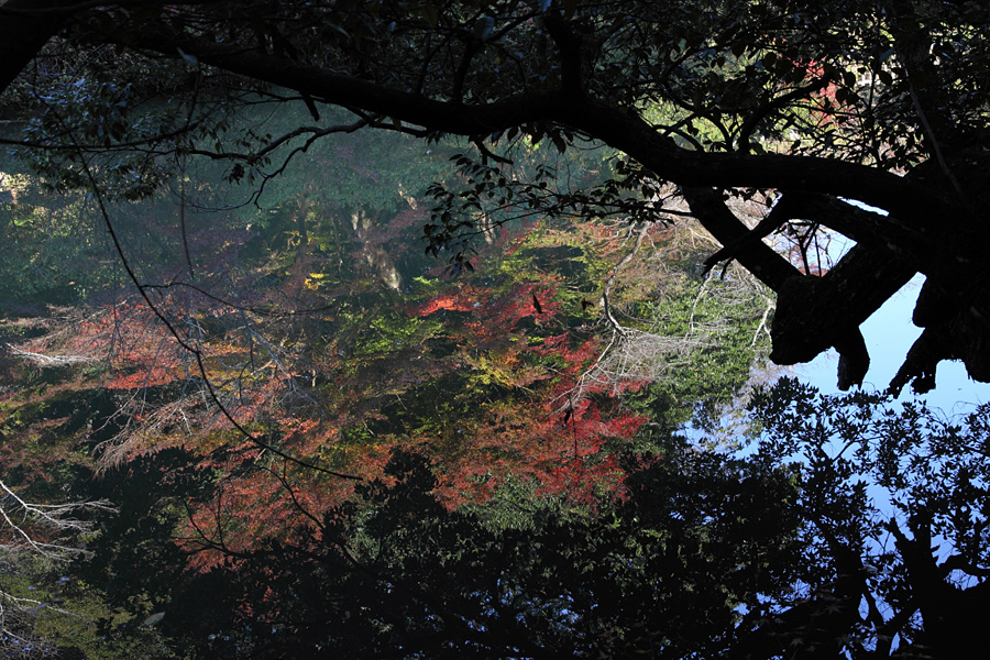 09.11.23：帰省中の紅葉巡りシリーズ・御船山楽園（前編）_c0007190_19383495.jpg