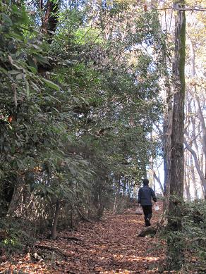 里山散歩＠さいたま緑の森博物館　　　　2009.12.6（日）_c0213096_22165149.jpg