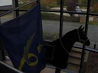 f0127098_4223643.jpg