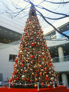a0123904_21234411.jpg