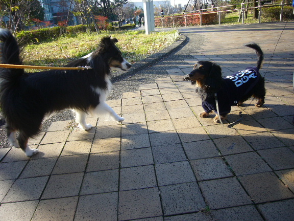 e0130008_20415975.jpg