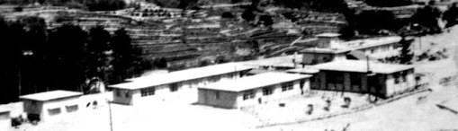 e0125014_111447.jpg