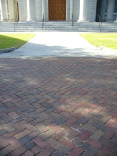 e0049015_9163838.jpg