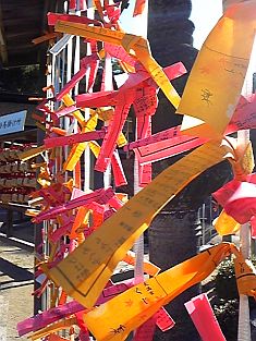 e0114015_14155999.jpg