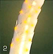 a0114816_13442844.jpg