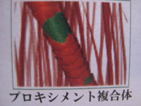 a0114816_16393366.jpg