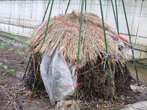 「千葉　おかげさま農場へ産地見学へ」_a0000029_01562.jpg