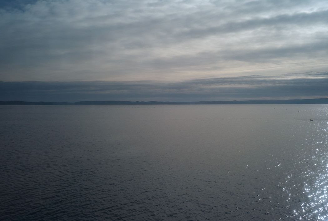 e0006135_2359817.jpg