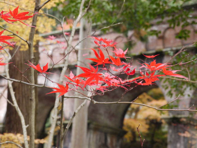 南禅寺・南禅院_e0067435_0101394.jpg