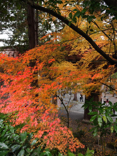 南禅寺・南禅院_e0067435_092441.jpg