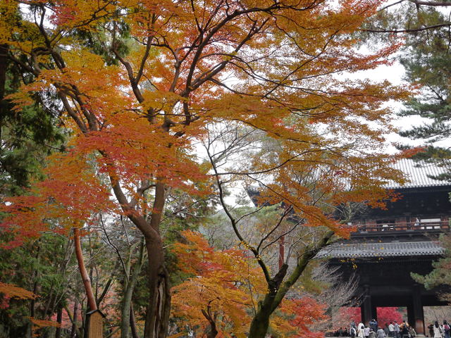 南禅寺・南禅院_e0067435_093714.jpg