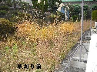 f0031037_19374666.jpg
