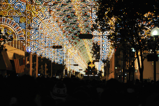 c0093046_7121238.gif