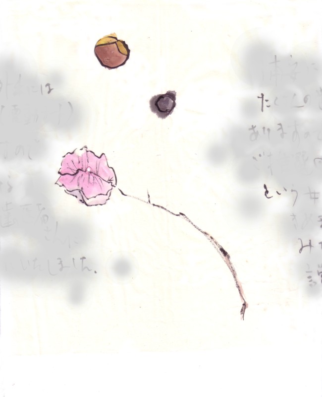 実は種 種から生まれるもの_e0074955_21103783.jpg