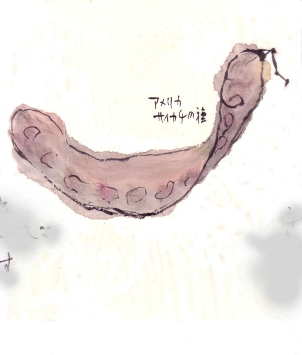 実は種 種から生まれるもの_e0074955_21112158.jpg