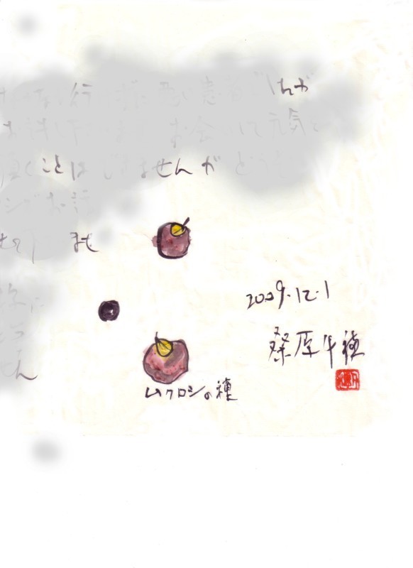 実は種 種から生まれるもの_e0074955_21114713.jpg