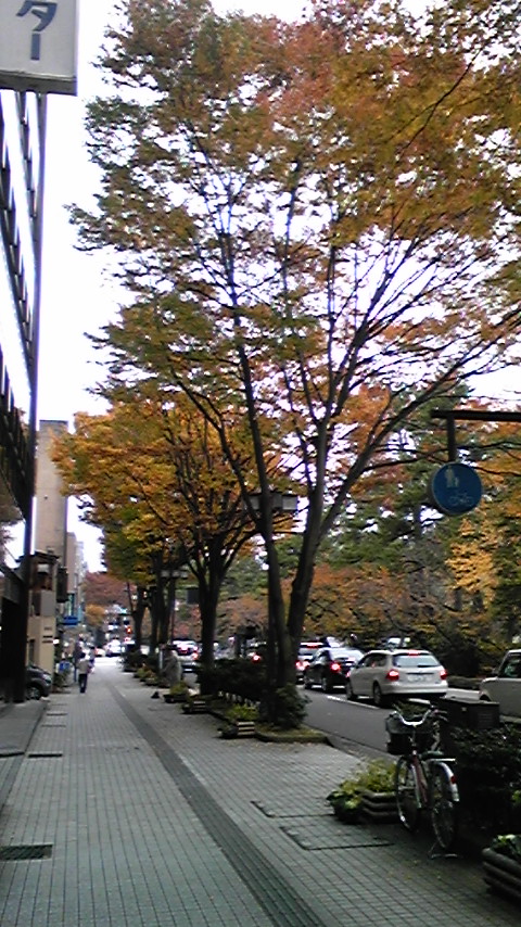 c0222675_19175337.jpg