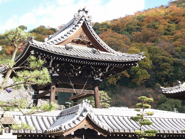 『本願寺東別院』と『浄土寺』へ・・・・・_d0054276_19594199.jpg