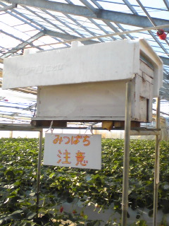 f0145976_15145374.jpg