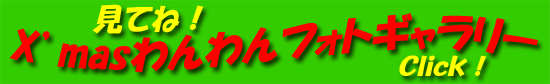 b0186183_18442237.gif