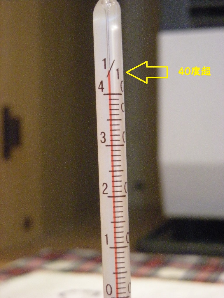 e0066883_1971390.jpg