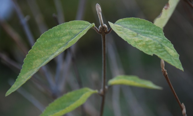c0144185_10255469.jpg
