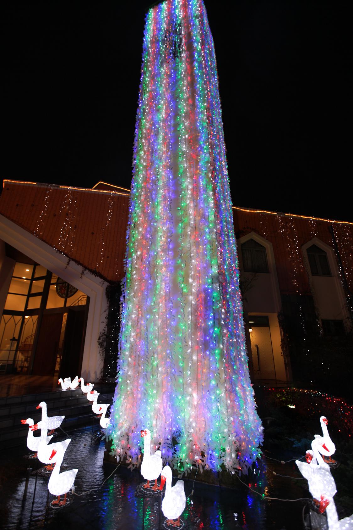 e0127887_2331074.jpg
