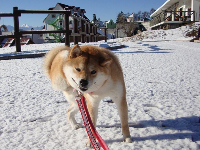 温泉ぽかぽか・ひんやりお蕎麦_a0126590_2123689.jpg