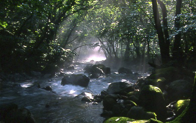 d0025894_23175686.jpg