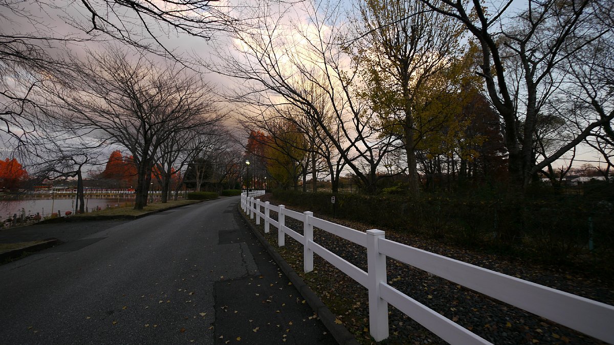 続く・・・「東武動物公園」_c0124795_23866.jpg