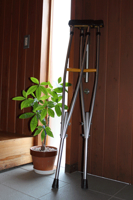 d0067498_21251890.gif