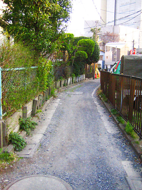 森厳寺川(北沢川下北沢東支流)(4)下流域_c0163001_2343135.jpg