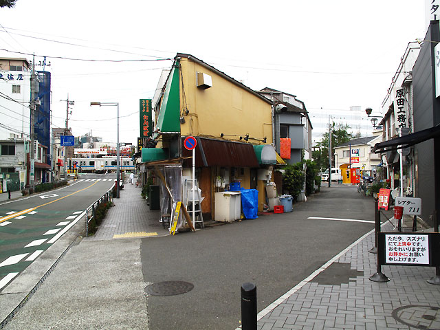 森厳寺川(北沢川下北沢東支流)(4)下流域_c0163001_23431417.jpg