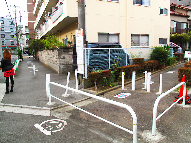 森厳寺川(北沢川下北沢東支流)(4)下流域_c0163001_23435020.jpg