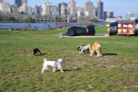 e0039002_1114056.jpg