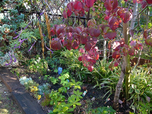 a0123003_1865100.jpg