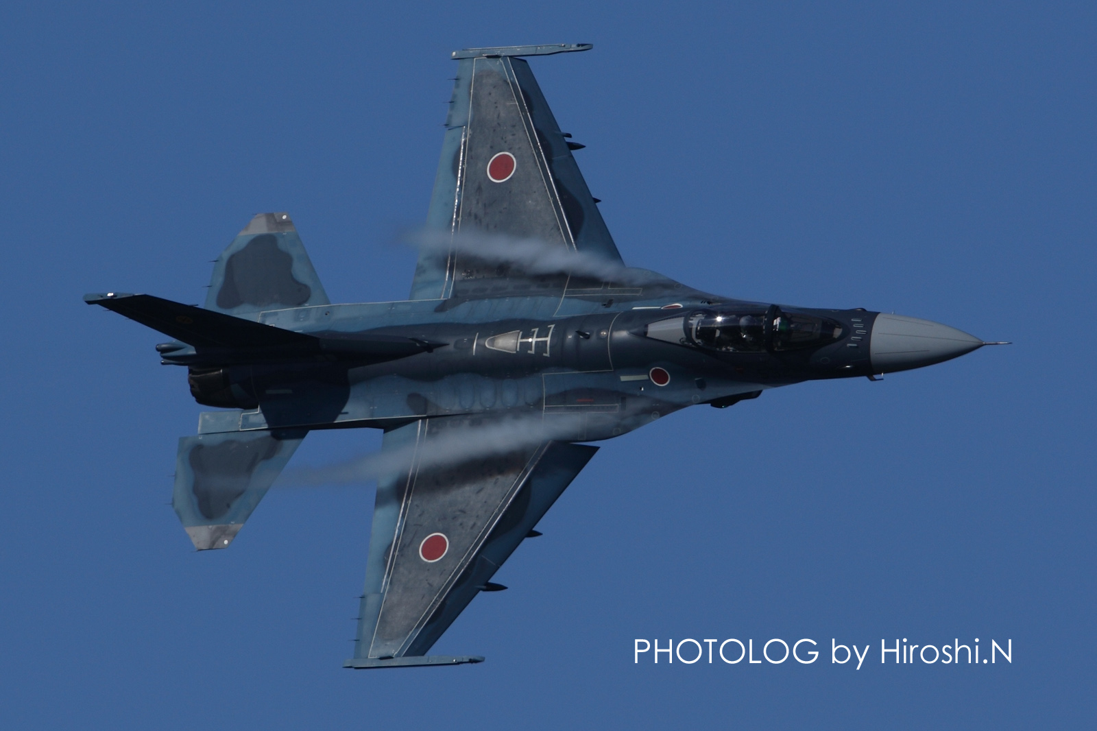 新田原基地航空祭 -F-2機動-  _b0183406_22165167.jpg