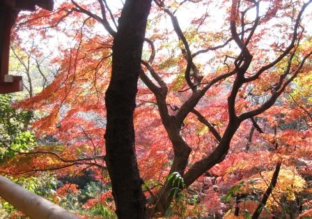 紅葉デート~♪ ①_f0155118_74127100.jpg